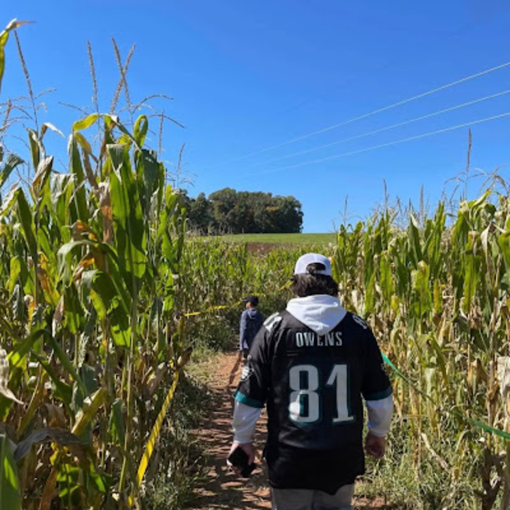 Meet your Posher, Nathan